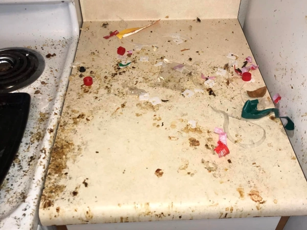 Deep Cleaning
